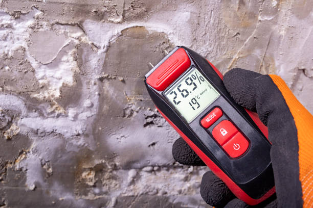 Best DIY Mold Remediation Support Services in Bothell West, WA