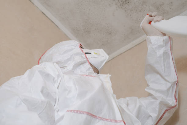 Best Insurance-Related Mold Remediation in Bothell West, WA